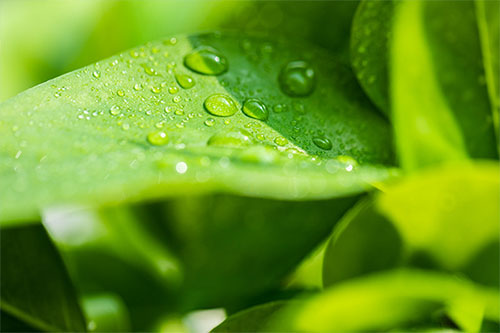環保管家與環境影響咨詢服務